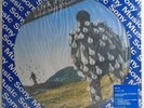 PINK FLOYD DELICATE SOUND OF THUNDER VERY RARE BRAZIL 1ST PRESS PICTURE DISC LP