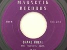 * HOPKINS BROS Shake Cheri / Your Kiss Of Fire NORTHERN SOUL Magnetik 45 HEAR