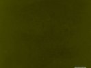 Kendrick Lamar ?– Untitled Unmastered. [New & Sealed] 12