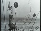 Recondite - Placid 2 x LP - Vinyl Album SEALED Acid Techno Record