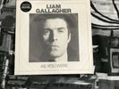 Liam Gallagher As You Were And Oasis All Around The World Vinyls