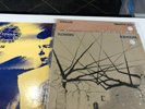 Icehouse - 3 Albums - Flowers, Primitive Man, Great Southern Land