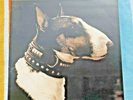 PIXIES HERE COMES YOUR MAN UK 12