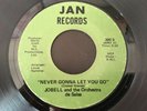 Jobell & The Orchestra De Salsa Never Gonna Let you Go (Original First Release)