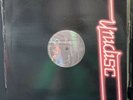 Waterfront Home 12” Take A Chance On Me 1984 Mint Vinyl Record NEW YORK MODELS