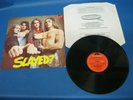 RECORD ALBUM SLADE SLAYED?