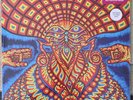 The Dream Syndicate - The Univetse Inside