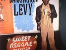LEVY, Barrington - Reggae Anthology: Sweet Reggae Music 1979-1984 - Vinyl (LP)