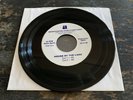 VINTAGE AMERICAN INTL PICTURES HOUSE BY THE LAKE 7