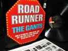 M- 1965 PUNK GARAGE   THE GANTS   ROADRUNNER   TEEN SCENE REVERB ROCKED-UP GEM