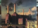 PINK FLOYD Animals 1977 Original VINYL LP RECORD