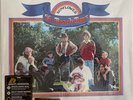 Sunflower by The Beach Boys ( 200g Vinyl, Feb-2015, Analogue Productions)