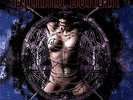 ID23z - Dimmu Borgir - Puritanical Euphoric - vinyl LP - New