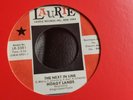 Northern Soul Anthem - Hoagy Lands - The Next In Line - Laurie 2nd Press