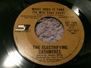 The Electrifying Cashmeres: What Does It Take 1971 Sound Stage 7 Records ZS7 150