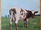 PINK FLOYD Atom Heart Mother PSYCHE Vinyl 1st UK Press NO EMI BOX A1/B1 10% OFF