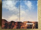 Ryan Adams Prisoner End Of The World edition Rare Vinyl 7