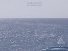 Cloud Nothings - Life Without Sounds [New Vinyl LP] Colored Vinyl, Green, Digita