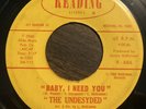 RARE PA. GARAGE ROCK THE UNDESYDED 