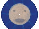 Current 93-IF A STAR TURNS INTO ASHES (BLUE PIC DISC VINYL NEUF