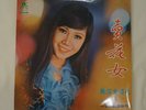 Hong Kong/Singapore Cantonese Pop Vinyl Disc LP Lisa Wong ????? The Stylers 1973
