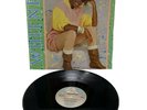 Whitney Houston How Will I Know 1985 Dance Single 12