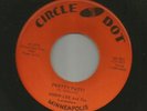 ROCKABILLY TEEN - ROBIN LEE  -  PRETTY PATTI  - HEAR - 1960 MN. CIRCLE DOT