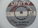 THE REGGAE BOYS......WHAT YOU GONNA DO......7