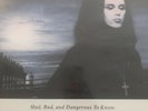 Dead Or Alive-Mad,bad And Dangerous To Know