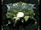 FINNTROLL VISOR OM SLUTET VIKING PAGAN FOLK METAL LP NOIR NEUF 2019