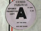 DEE DEE SHARP: DEMO COPY 