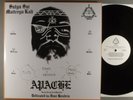 Satya Sai Maitreya Kali  Apache / Inca    RARE Little Indians Ltd Numbered