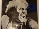 VASCO ROSSI - SIAMO SOLO NOI LP VINILE -TARGA TAL 1404 ITA PRIMA STAMPA