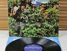SKL 5013 (1st Press - Unboxed) *SAVOY BROWN: A STEP FURTHER* BLUES ROCK / PSYCH