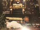 GRANT LEE BUFFALO: MIGHTY JOE MOON (LP vinyl) Used