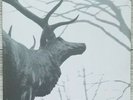 Agalloch – The Mantle 2x LP Clear (Grau)- Alcest- Wolves in the Throne Room- Fen