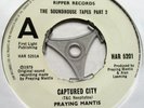 PRAYING MANTIS CAPTURED CITY**JOHHNY COOL 1979 RIPPER-HARVEST SOUNDHOUSE TAPES