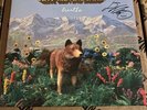 Tiny Moving Parts Signed Breathe (Red Vinyl) LP Hopeless Records - New & Signed