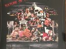PSYCHIC MIRRORS - Nature Of Evil - LP BOOGIE FUNK COSMIC CHRONIC SEALED NEW