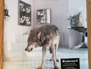 GRINDERMAN 2 LP 2010 NM/NM Anti- GARAGE BLUES ROCK Nick Cave