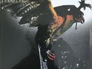 Budgie In For The Kill  Vinyl 2014 M