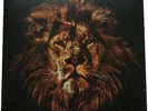 John Butler Trio - April Uprising (12