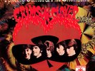TOMMY JAMES AND THE SHONDELLS - CRIMSON AND CLOVER  - EXCELLENT - VINYL - NEAR M
