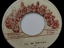 Alton Ellis-I'll Be Waiting-JA TECHNIQUES 7