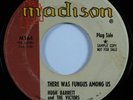 Rockabilly 45 HUGH BARRETT There Was Fungus Among Us MADISON promo HEAR