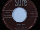 Rockabilly 45 WAYNE WILLIAMS Red Hot Mama SURE HEAR