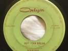 RARE GARAGE ROCK 45 - The Sceptres - But I Can Dream/Last Time - ORLYN