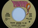 Folk Rock 45 TOWNES VAN ZANDT Waitin' Around To Die POPPY promo HEAR