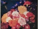 THE TEARDROP EXPLODES WILDER LP MERCURY UK 1981 NEAR MINT PRO CLEANED