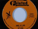 Doo Wop 45 ECHOS Angel Of Love FELSTED HEAR
